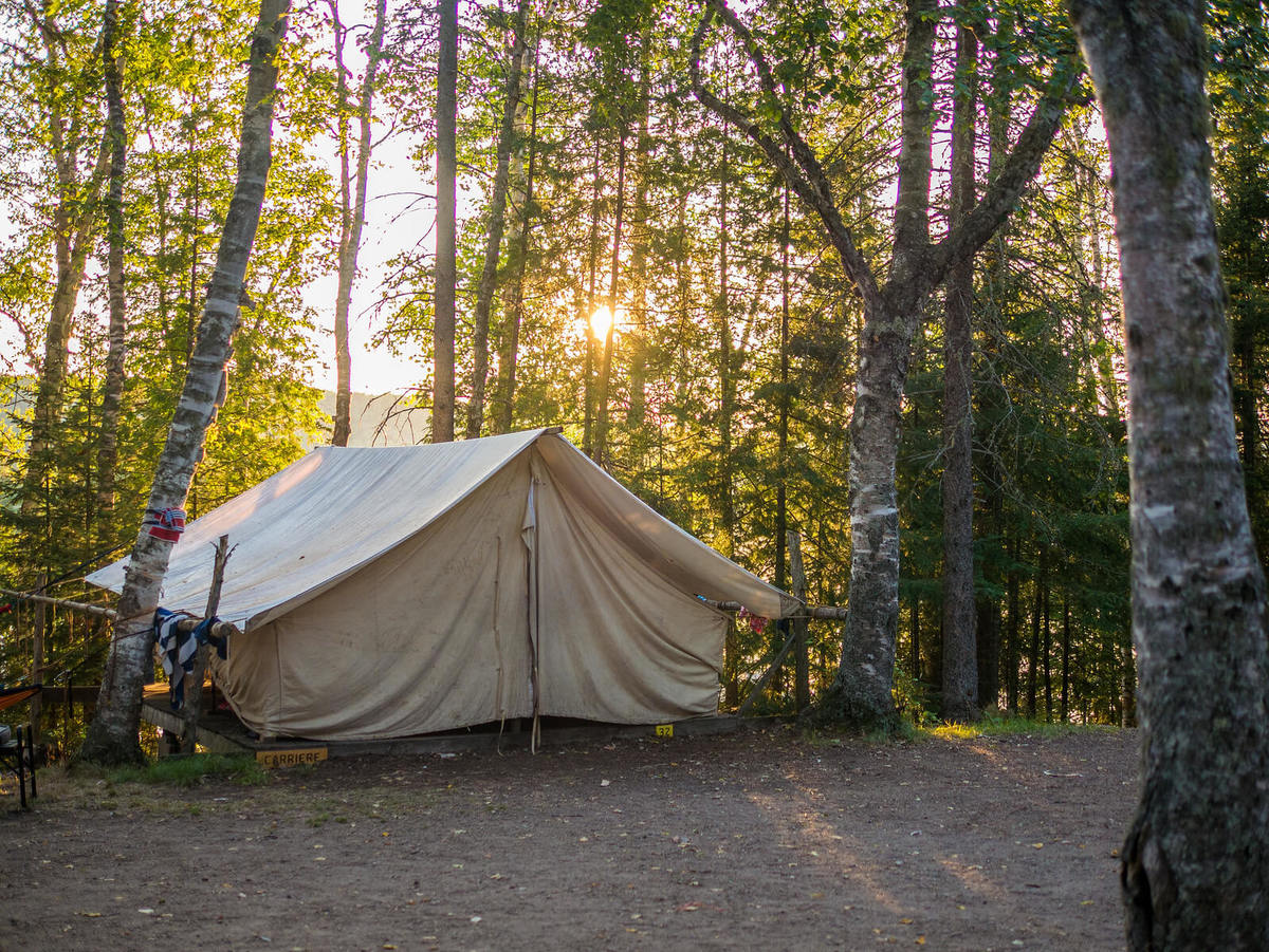 Montana Timber Camp: Where Rugged Adventures Meet Rustic Charm